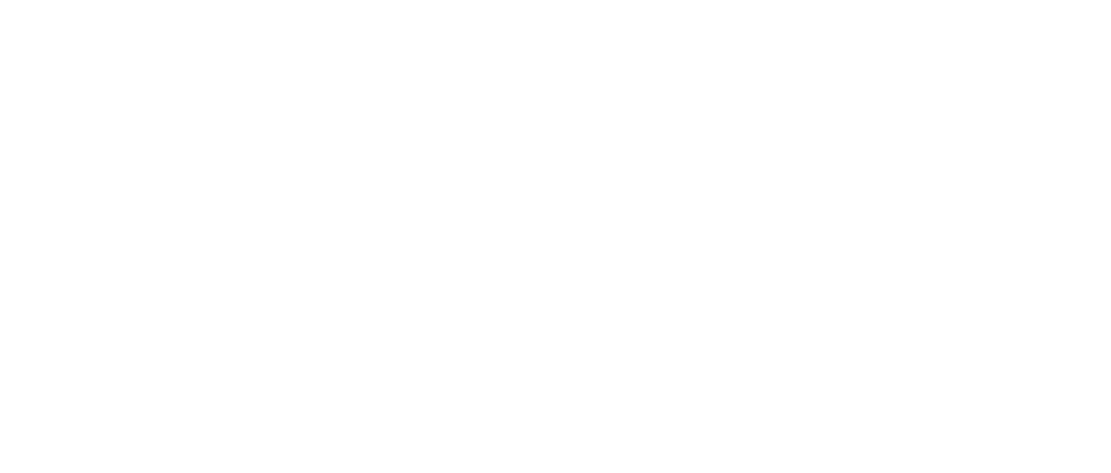 Xpand Laces logo