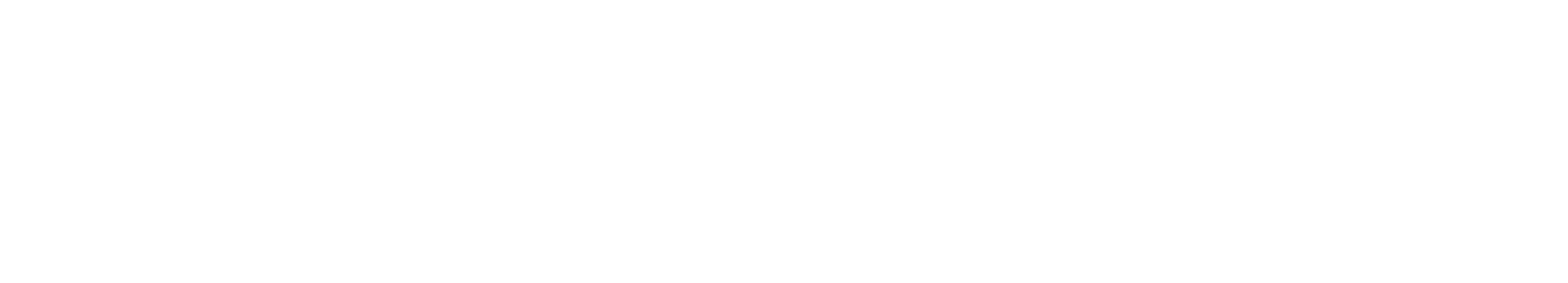 skinners logo